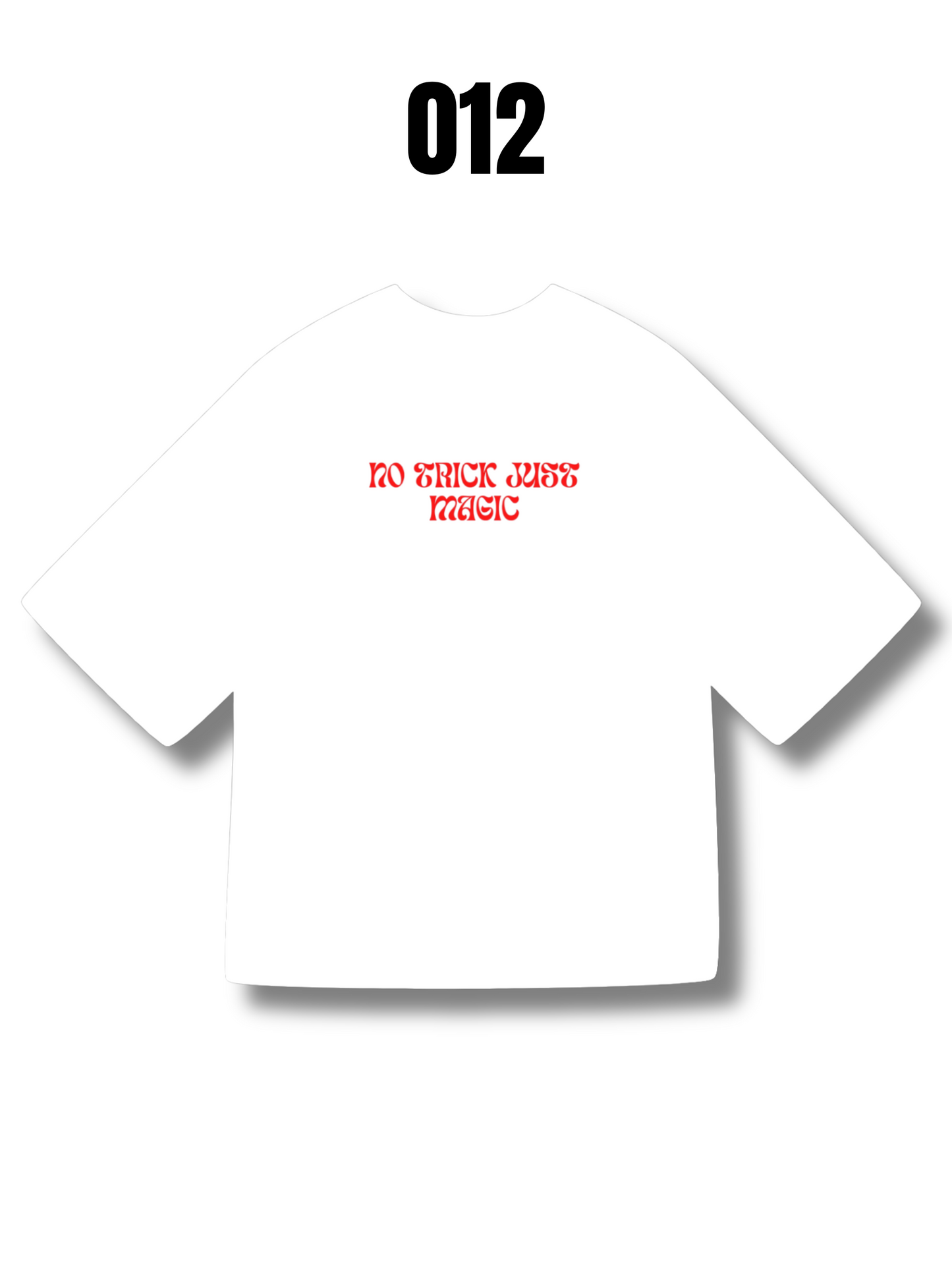 Camiseta Oversized para Hombre Ref. 012
